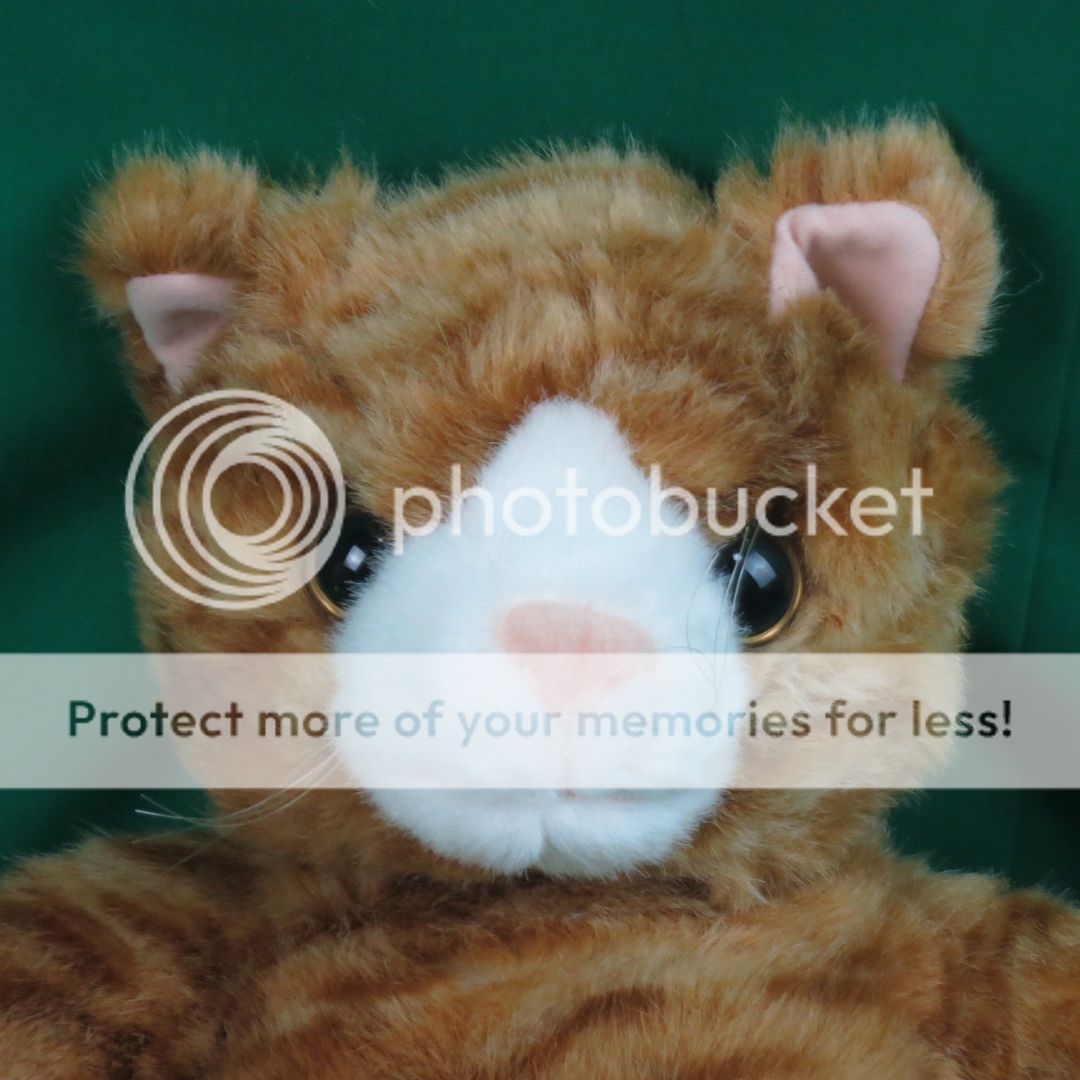 stuffed animal orange tabby cat